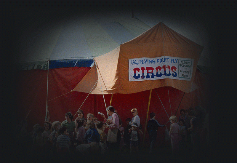 Entertainment - General - The Flying Fruit Fly Circus