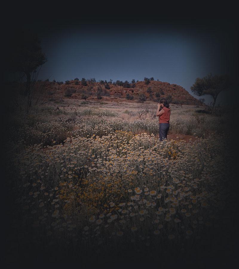 A woman photographing wildflowers