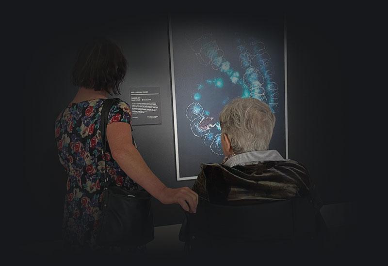 2 people, one in a wheelchair viewing art.