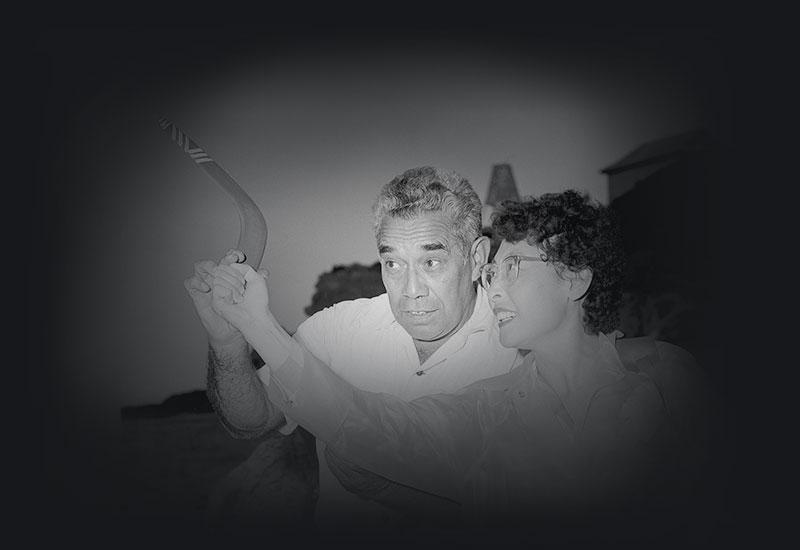 Learning to throw a boomerang