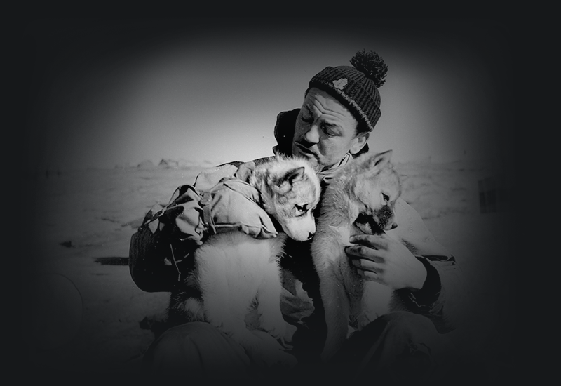 Antarctica: William (Bill) Harvey, (carpenter) with two husky pups , Mawson Station