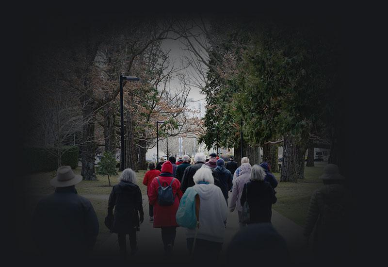 People walking along a tree-lined path.