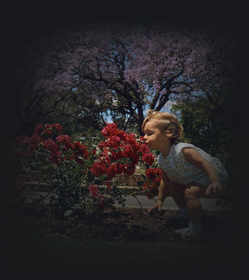 A toddler smelling roses