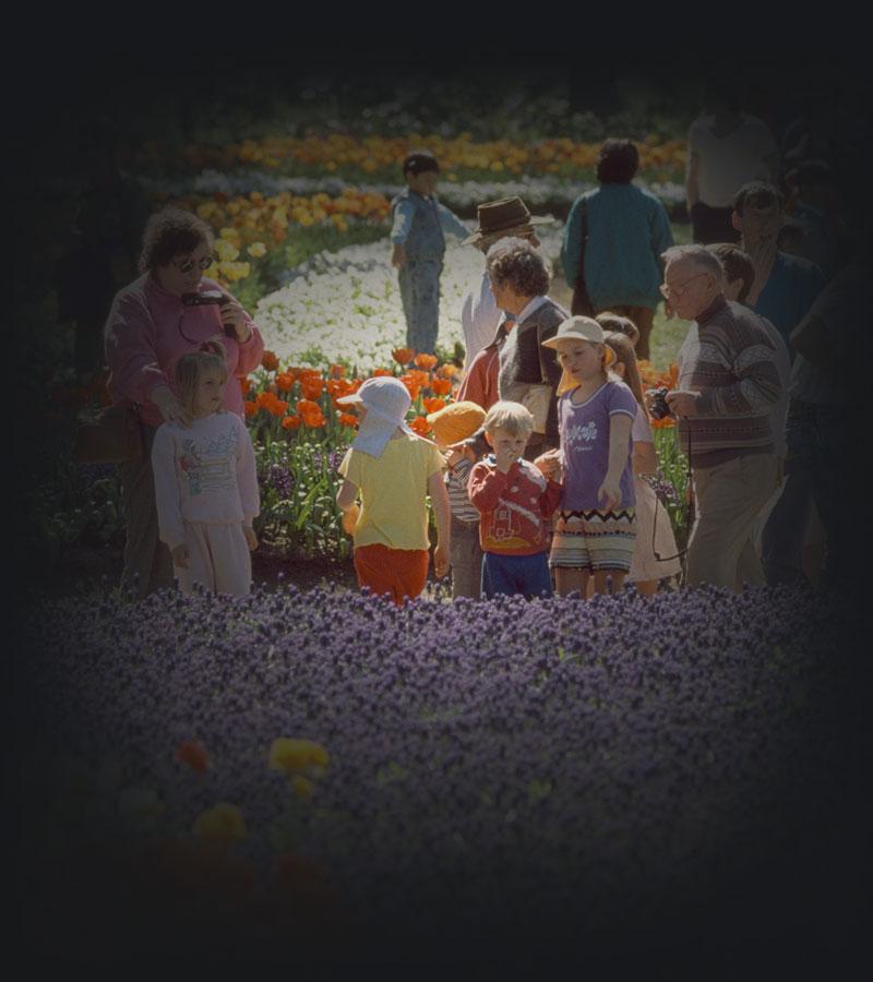 People walking amongst colourful flower beds