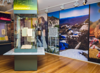 Environment display case and wall, Connections Gallery National Archives of Australia