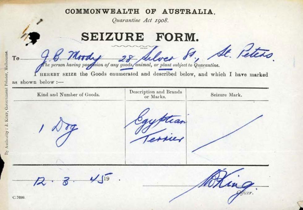 Authority to seize Horrie