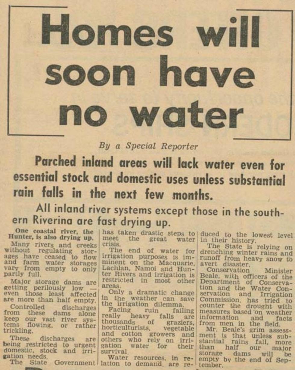 Newspaper article