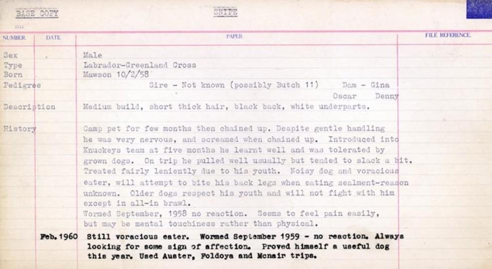 Card from the husky register for Davis