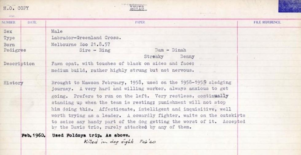 Card from the husky register for Davis.