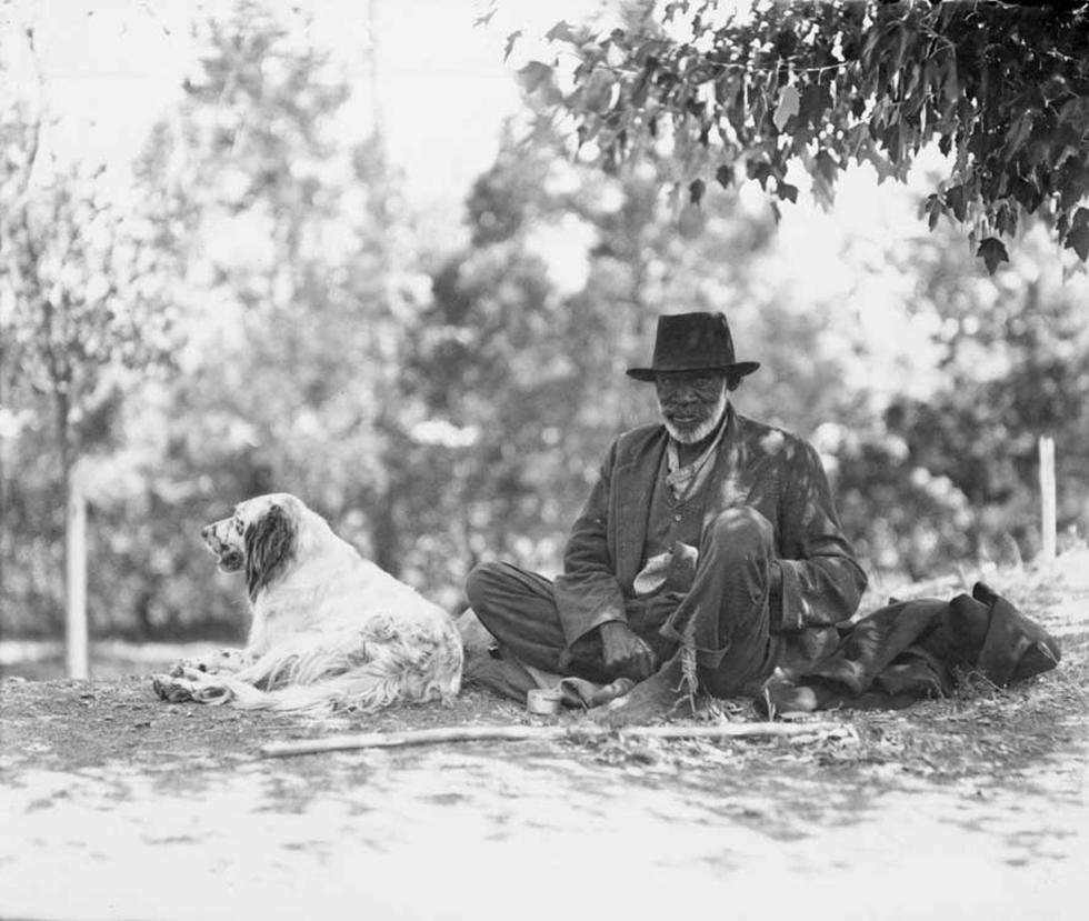 John Noble and his dog under a tree at the Bachelors Quarters in Acton, Canberra. 