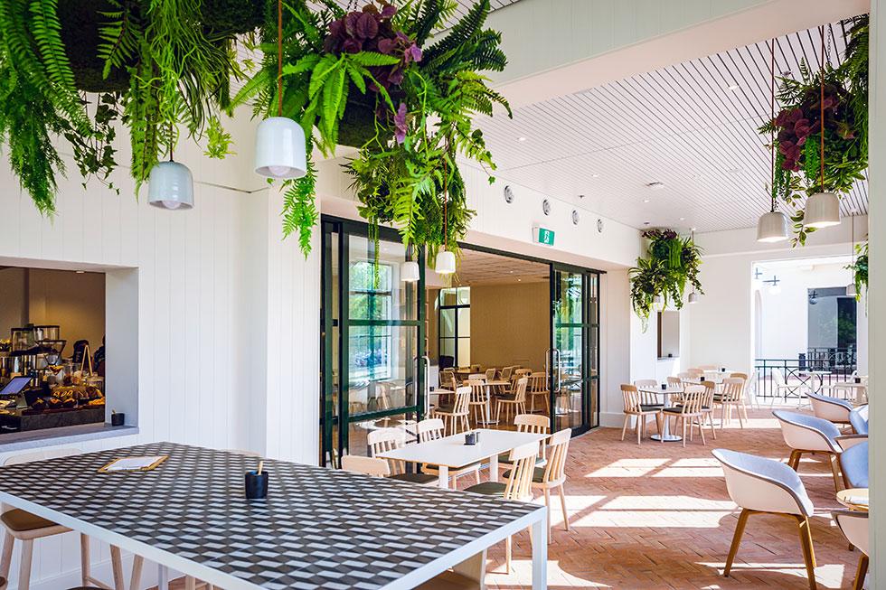 Constitution Cafe at National Archives Parkes showing hanging plants.