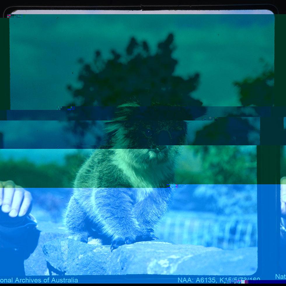 An example of a corrupted digital image.