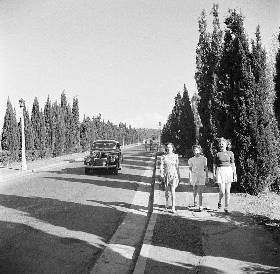 3 women walking on a path near a car driving on a conifer tree lined avenue.