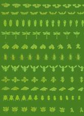 Decaying insects