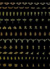 A Requiem for Insects, by Rosie Armstrong