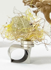 'Bioregional Rings' by Kyoko Hashimoto and Guy Keulemans.