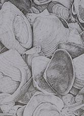 Artwork by Carole Bann - Billions