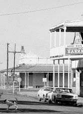 2 dogs on a deserted road beside 2 parked cars, and a pub verandah. Timber building with verandah and timber power poles in the background.