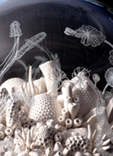 Detail of 'Surface Beneath' by Alexandra Hirst and Mirjana Dobson. 