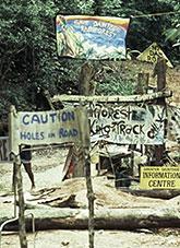 Protest banners, Daintree National Park.