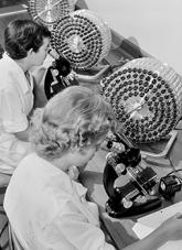 Testing the polio vaccine at Commonwealth Serum Laboratories, 1956.
