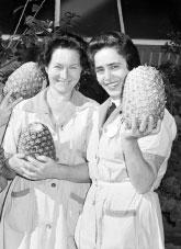 Italian women at the Golden Circle Cannery in Queensland holding pineapples.