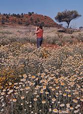 A woman photographing wildflowers