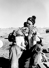 Antarctica: William (Bill) Harvey, (carpenter) with two husky pups , Mawson Station
