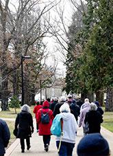 People walking along a tree-lined path.