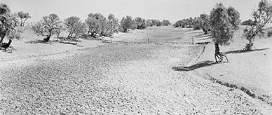 Brunchilly Creek, Northern Territory