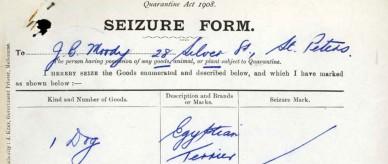 Authority to seize Horrie