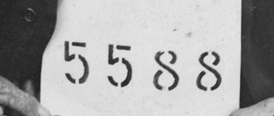 This is a photograph of German internee Johan Wenke's identification number: 5588.