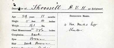Hugo V. H. Throssell fit for active service in the Australian Imperial Force - certificate of medical examination.