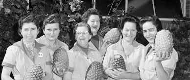 This is a photograph of migrants working at the Golden Circle Cannery, Brisbane .