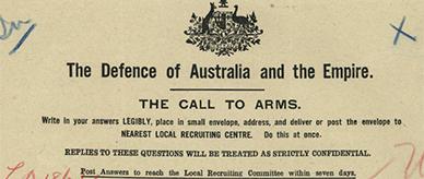 Reasons not to enlist in World War I - completed enlistement form.