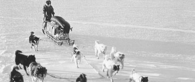 Huskies towing a dogsled across ice.