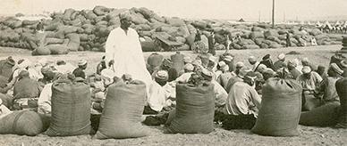 Egyptians crushing barley to feed the horses that had accompanied the Anzacs to Mena.