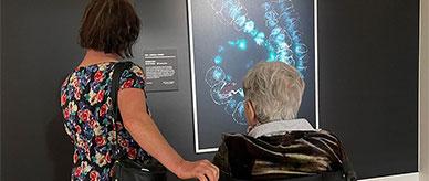 2 people, one in a wheelchair viewing art.