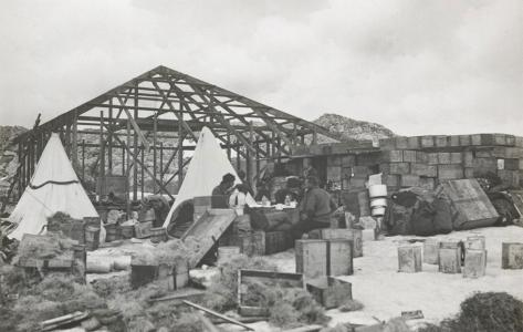 The framework of a large hut being constructed.