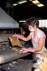 Removing rabbit fur from pelts