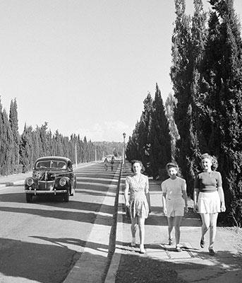 3 women walk along a tree lined avenue followed by a car and 2 people on bicycles.